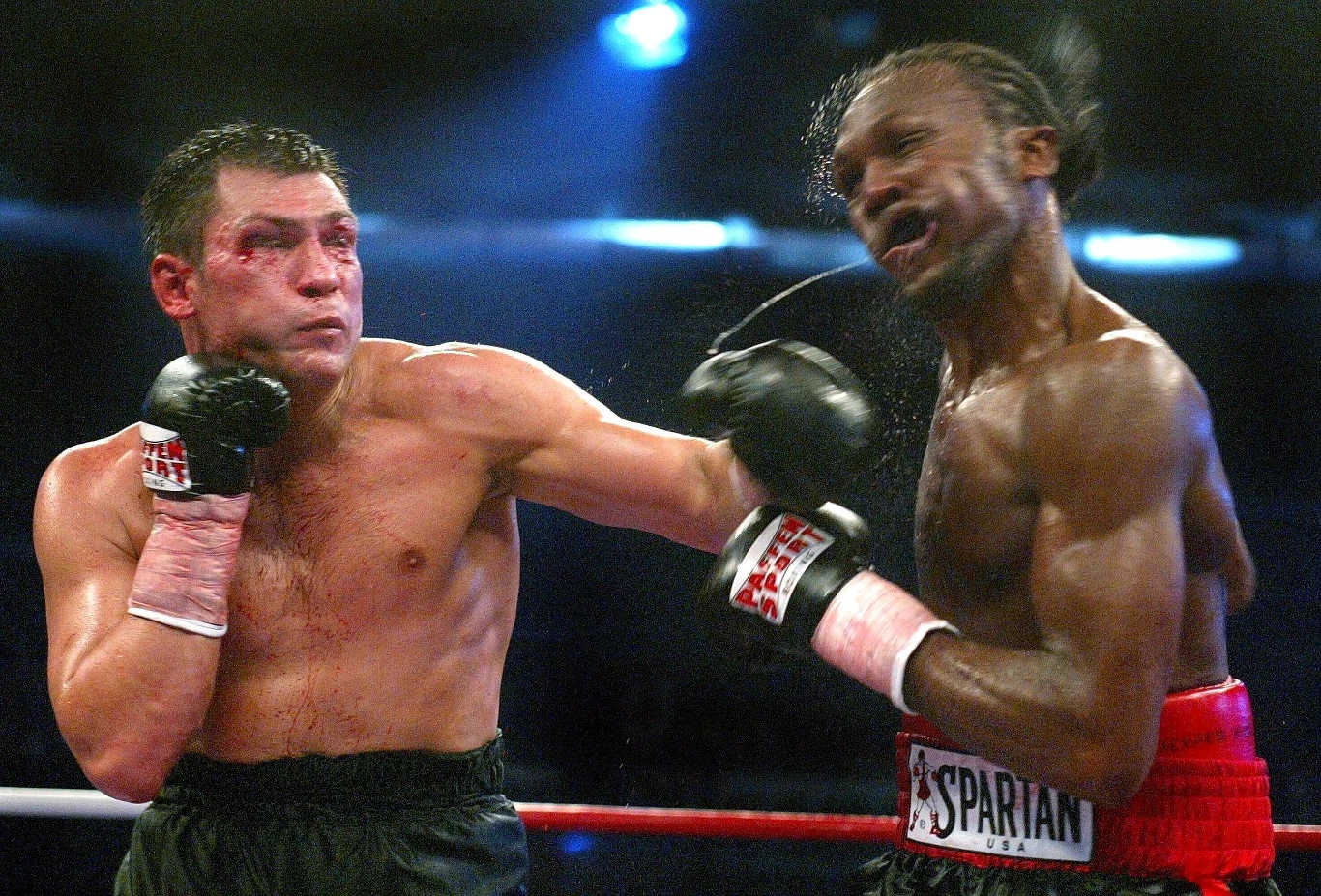 Dariusz Michalczewski potężnym ciosem trafił Richarda Halla - 14 września 2002 rok
