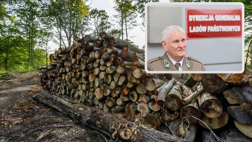 Dotychczasowy szef Lasów Państwowych stracił swoje stanowisko