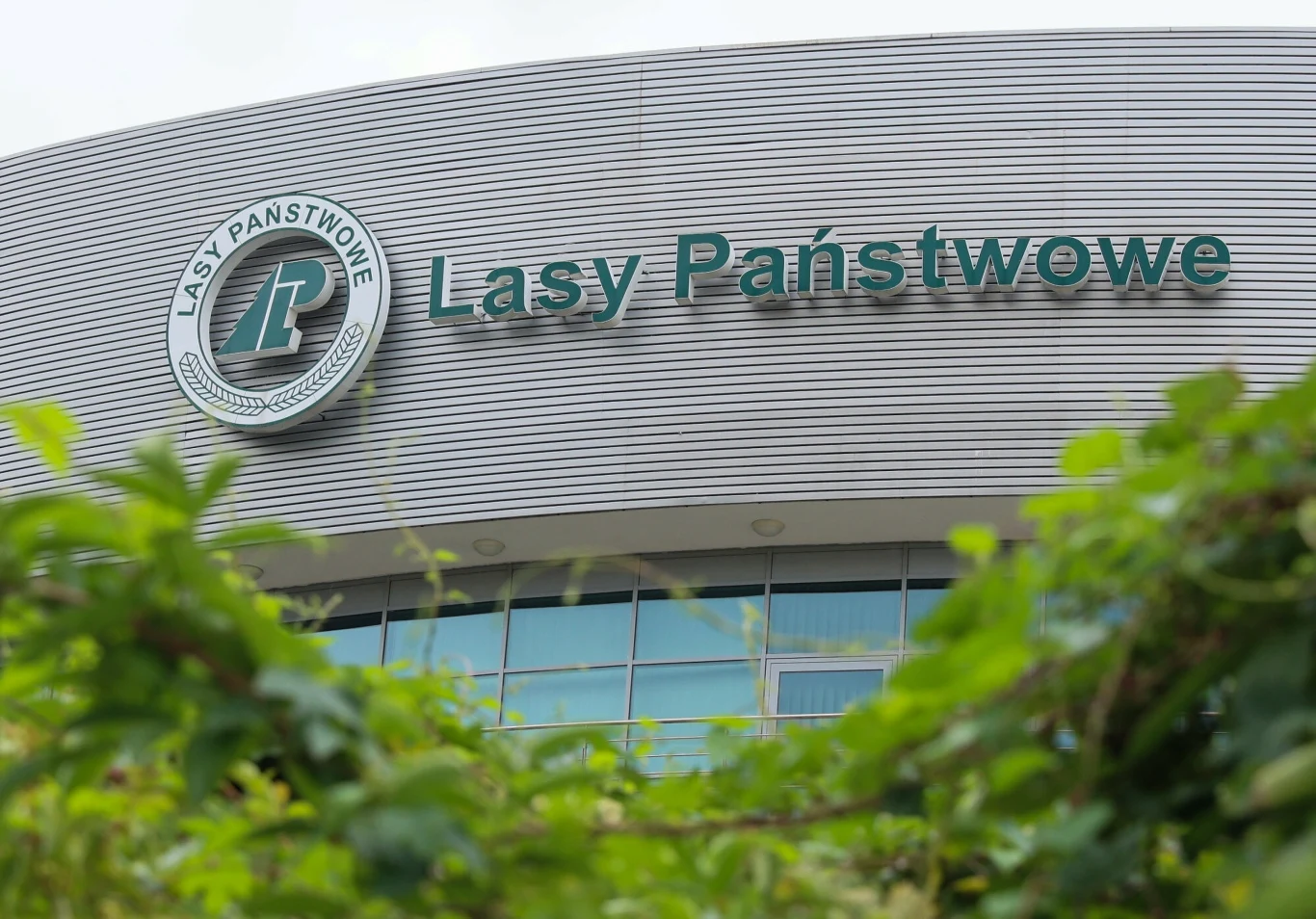 Według ekologów, priorytetem nowego szefa Lasów Państwowych musi być ograniczenie wycinek w cennych przyrodniczo lasach oraz znaczne zwiększenie wydatków na ochronę przyrody Według ekologów, priorytetem nowego szefa Lasów Państwowych musi być ograniczenie wycinek w cennych przyrodniczo lasach oraz znaczne zwiększenie wydatków na ochronę przyrody
