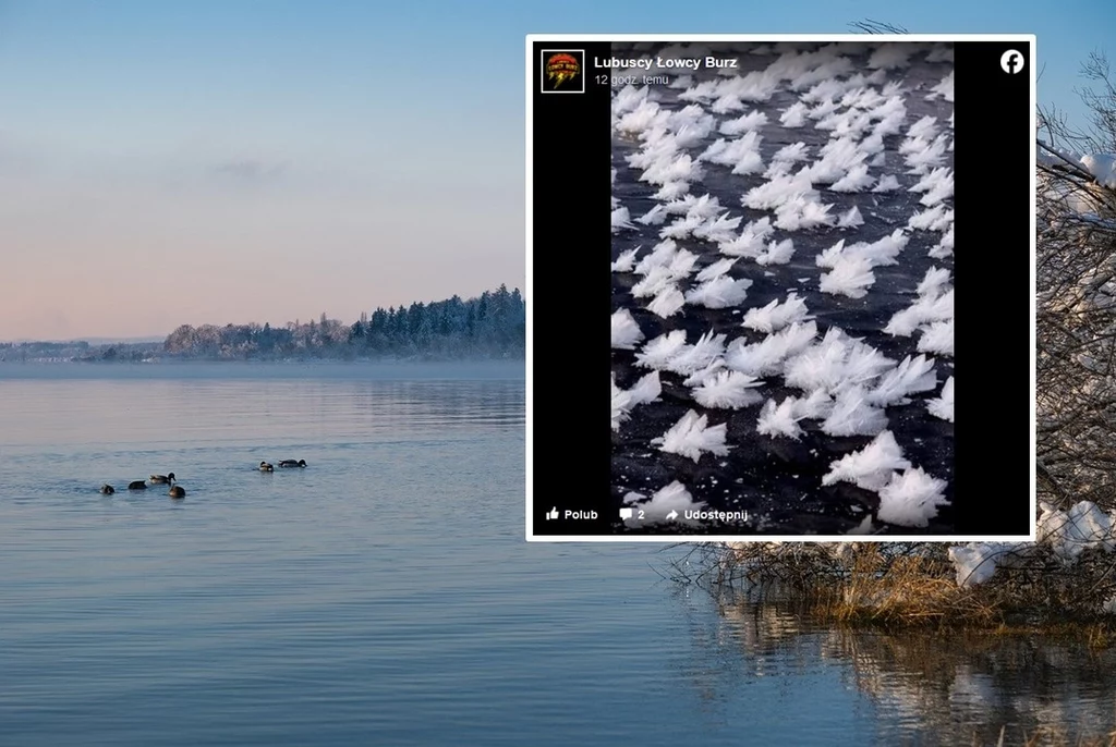 Niska temperatura sprzyja pojawianiu się niezwykłych form lodowych