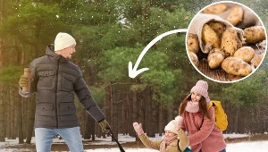 Posyp ziemniaka solą i nasmaruj dziecięce sanki. Uciążliwy problem szybko zniknie