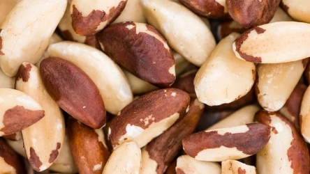 Orzechy brazylijskie to bomba witaminowa. Wystarczą trzy sztuki dziennie, aby zapewnić organizmowi porządny zastrzyk selenu i kwasu foliowego