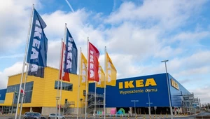 Zmiany na czele IKEA Group. Spółką pokieruje menedżer z Polski
