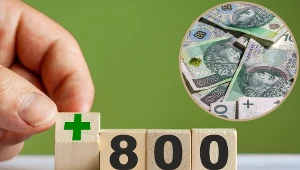 Ważne oświadczenie w sprawie 800 plus. Lepiej zachować czujność