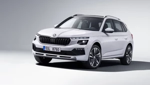 Nowa Skoda Kamiq z polskimi cenami. Ile za najtańszego SUV-a z Czech?