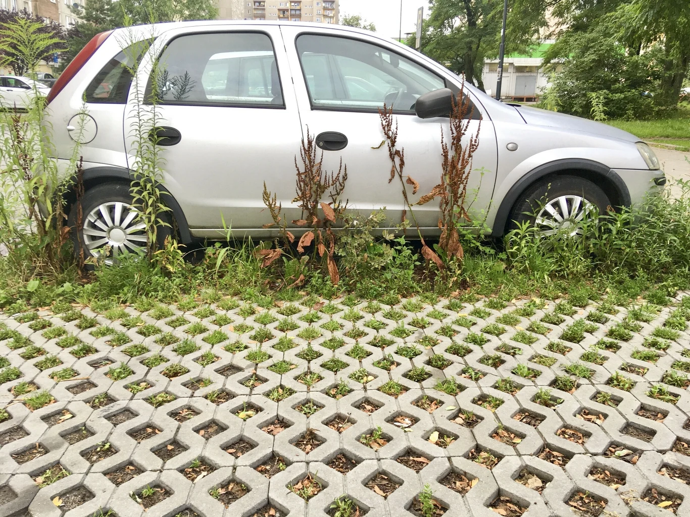 Z rejestru CEPiK, a później także z ulic znikną porzucone samochody bez przeglądu i ubezpieczenia, czyli tzw. "wrosty"
