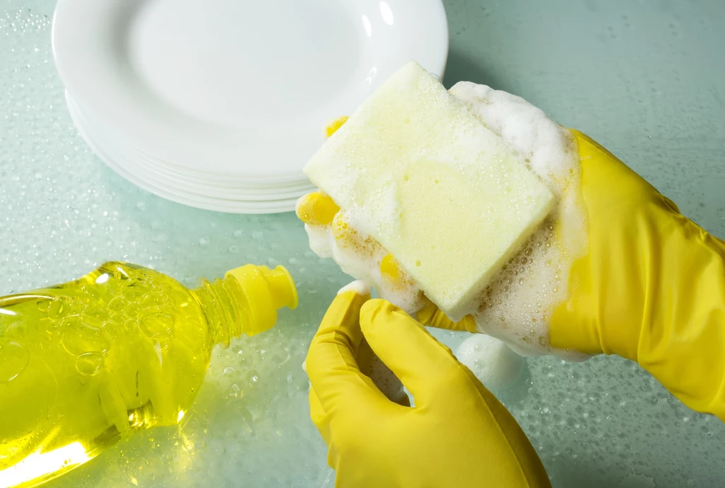 Na gąbce do mycia naczyń może być więcej bakterii niż w toalecie