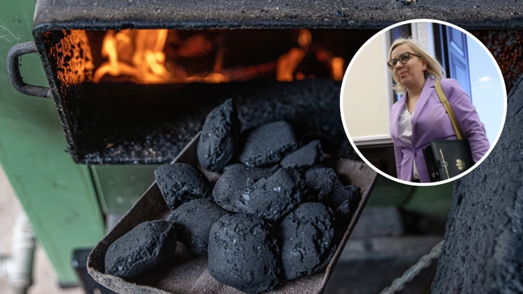 Rządowy program Czyste Powietrze boryka się z opóźnieniami w wypłatach środków na dotacje. Głos zabrała ministra klimatu i środowiska 