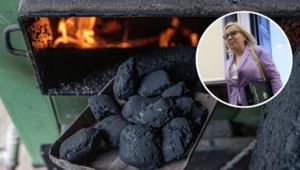 Rządowy program Czyste Powietrze boryka się z opóźnieniami w wypłatach środków na dotacje. Głos zabrała ministra klimatu i środowiska 