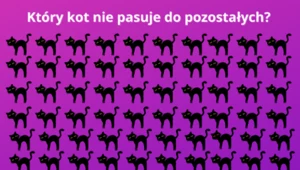 Test na spostrzegawczość: Tylko sokole oko dostrzeże tę drobną różnicę