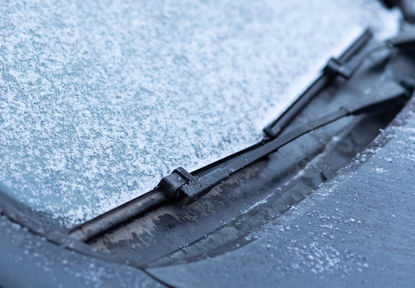 Oszroniona szyba to zimowa zmora kierowców. Oszroniona szyba to zimowa zmora kierowców.