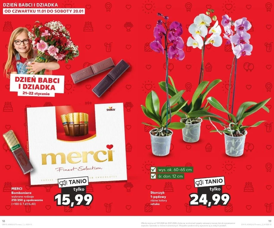 Kaufland oferuje storczyki w niskich cenach!