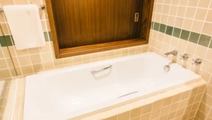 Wilgoć to dla nich raj. Sprawdź jakie robale mieszkają w łazience