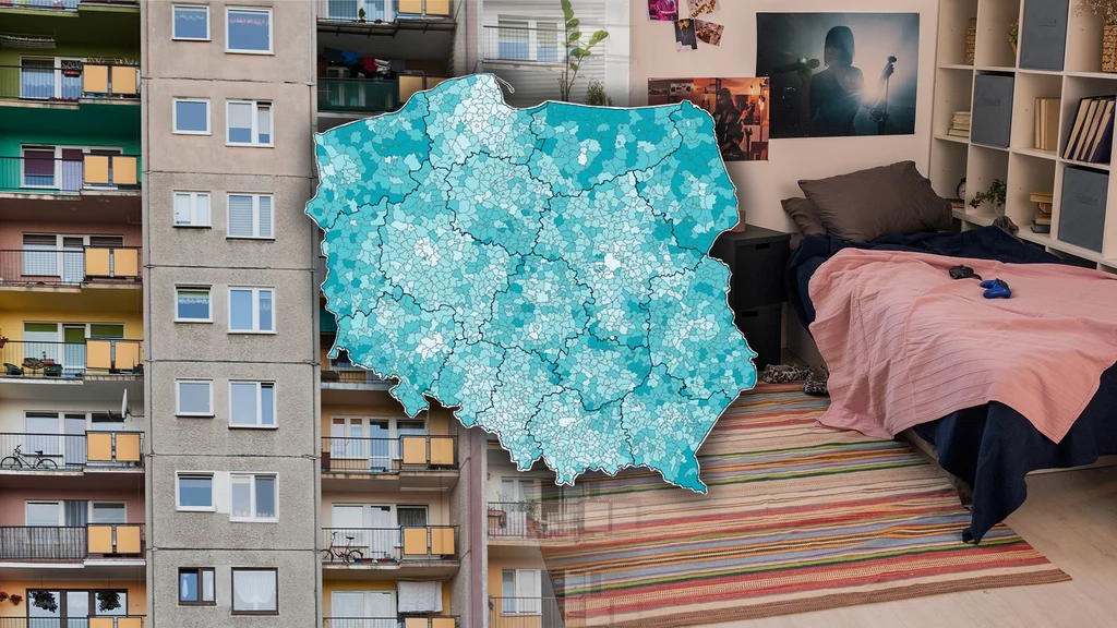 W Polsce rośnie pokolenie gniazdowników. Na zdj.: Udział gniazdowników w ogólnej liczbie ludności w wieku 25–34 lat
