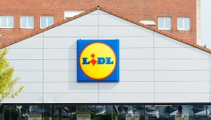 Czesi zrobili zakupy w czeskim, niemieckim i polskim Lidlu. Gdzie zapłacili najmniej?