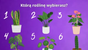 Psychotest: Wybierz roślinę i dowiedz się, jaka jest twoja największa zaleta