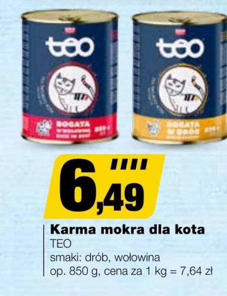 Mokra karma dla kota Teo