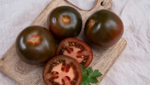 Są słodsze niż inne odmiany pomidorów, a do tego bardzo zdrowe