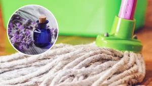 Mopa wymocz w wodzie z detergentem i odrobiną olejku lawendowego, a łazienka będzie pachnieć jak kwiecista łąka