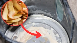 Zamiast wyrzucać, włóż je do czajnika. Po osadzie z kamienia nie będzie śladu