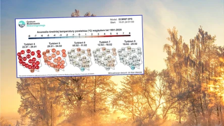 Pod koniec stycznia do Polski nadejdzie wyraźne ocieplenie. IMGW prognozuje, że temperatury będą znacznie wyższe niż zwykle o tej porze roku