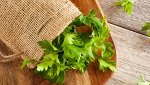 Polacy ją kochają, dodają do rosołu. Wygrała ranking najbardziej trujących