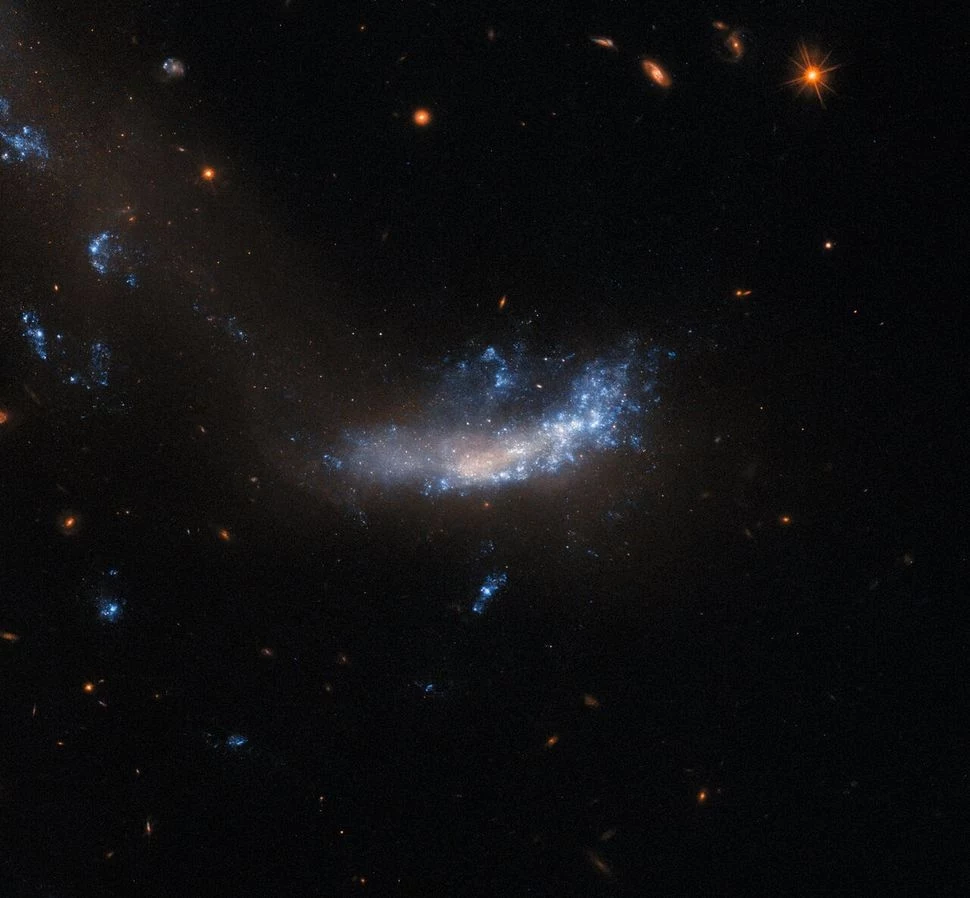 Galaktyka UGC 5189A z wielką supernową widziana przez Kosmiczny Teleskop Hubble'a