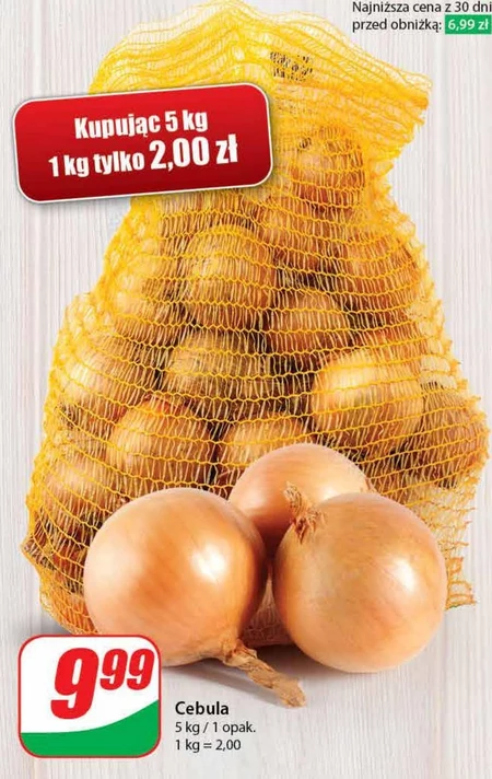 Cebula