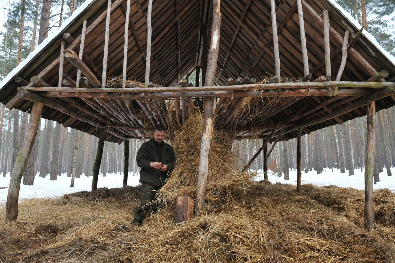 Dokarmianiem zwierząt w lesie zajmują się leśnicy. Nie ma potrzeby, żeby robić to na własną rękę Dokarmianiem zwierząt w lesie zajmują się leśnicy. Nie ma potrzeby, żeby robić to na własną rękę