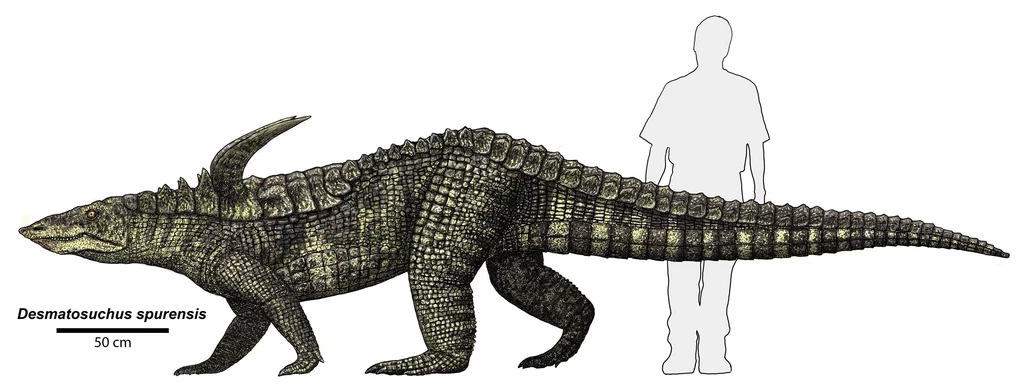 Tak wyglądał opancerzony Desmatosuchus, z wielkimi kolcami na karku
