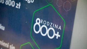 800 plus. Nowy nabór wniosków, ZUS podał termin. "Wnioski tylko przez internet"