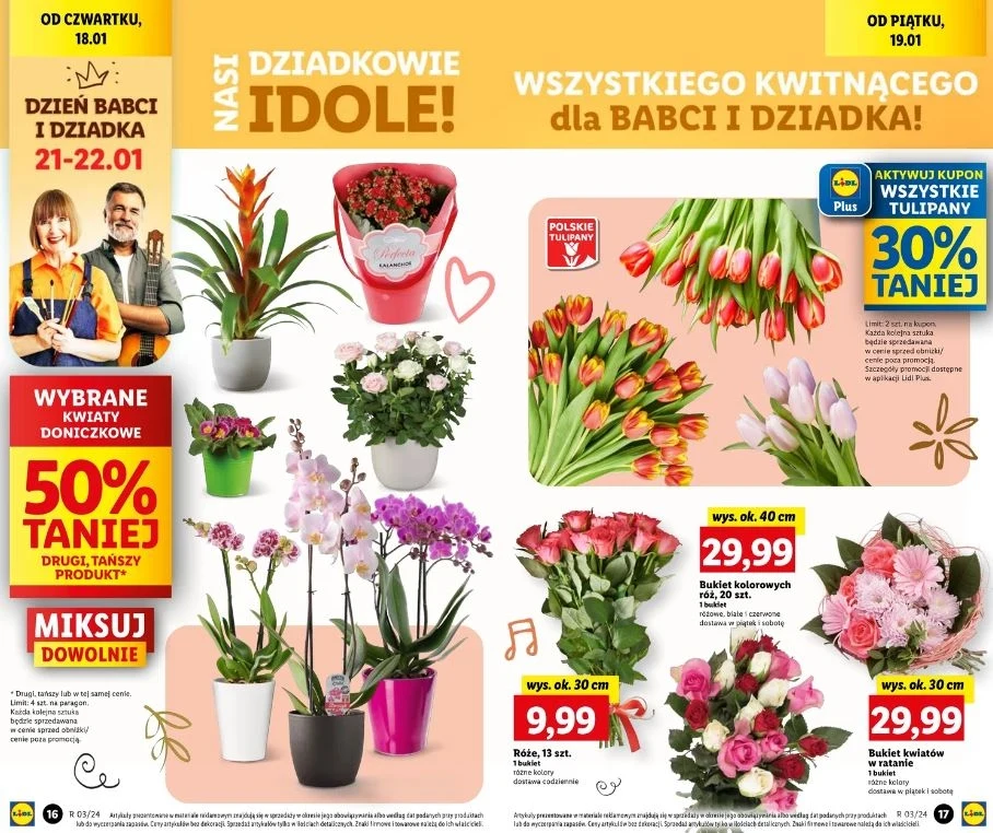 Lidl oferuje promocje na kwiaty! Lidl oferuje promocje na kwiaty!
