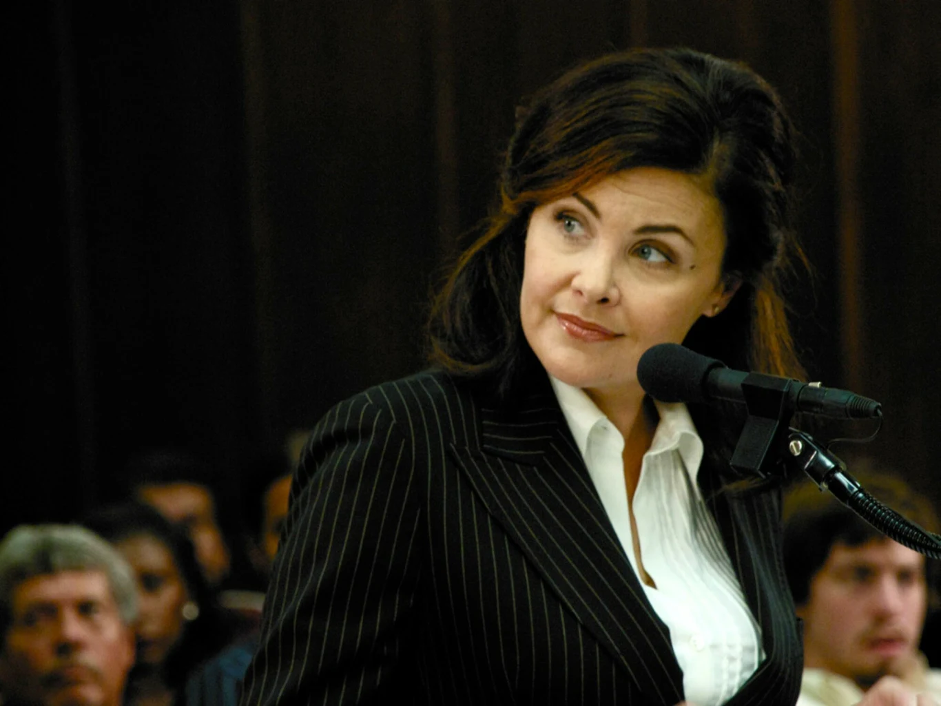 Sherilyn Fenn "The Scenesters" 2009.