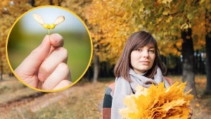 Słowiańskie drzewo szczęścia. Noś przy sobie nasiona, a czeka cię dostatek