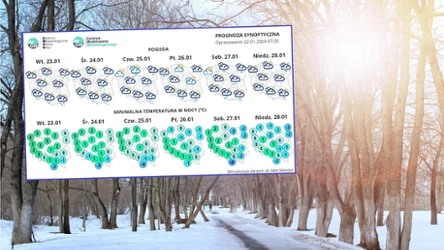 IMGW przygotował synoptyczną prognozę pogody na nadchodzący tydzień. Pojawi się wyraźne ocieplenie oraz silny wiatr