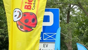 5 tys. zł mandatu dla właścicieli aut spalinowych. Wystarczy źle zaparkować