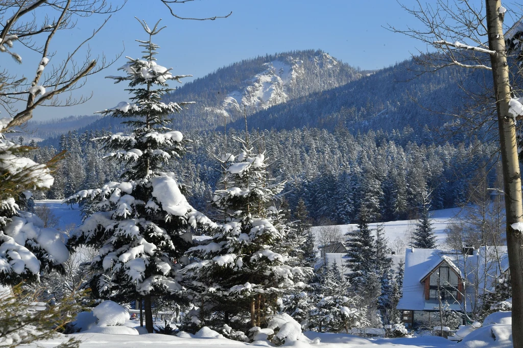 Zakopane cieszy się niesłabnącą popularnością 