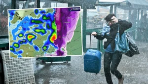 Nie wychodź z domu. Za oknem króluje Jitka