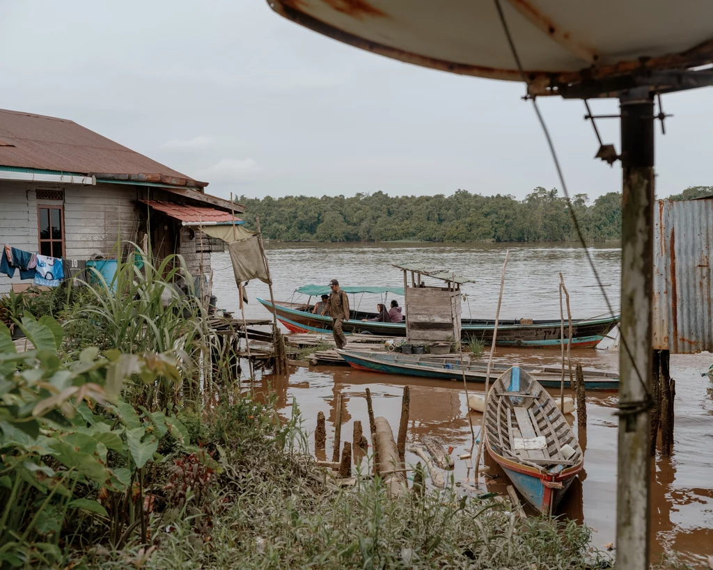 Rzeka Kahayan w Indonezji na wyspie Borneo w okolicy miejscowości Pilang Rzeka Kahayan w Indonezji na wyspie Borneo w okolicy miejscowości Pilang