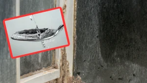 Umyj prysznic tym produktem z kuchni za 3 zł. Na kabinie nie zostanie żadna smuga