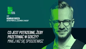 Współczesna szkoła przetrwania. Łóżko z szyszek i woda ze źródełka