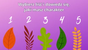 Psychotest: Wybierz liść i dowiedz się, jaką jesteś osobą