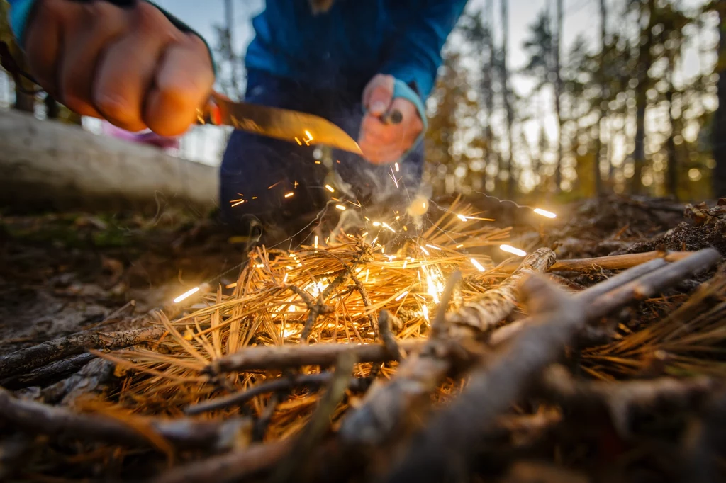 Bushcraft to zbiór wiedzy i umiejętności potrzebnych do przetrwania w dziczy