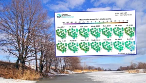 Zima robi sobie wolne. Wiemy, kiedy wróci