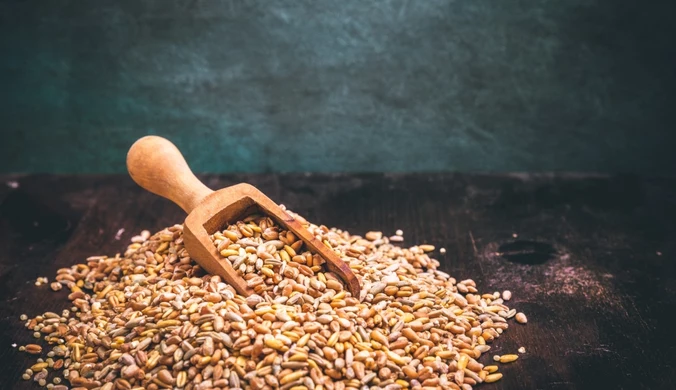 Mąka orkiszowa — właściwości i zastosowanie w kuchni