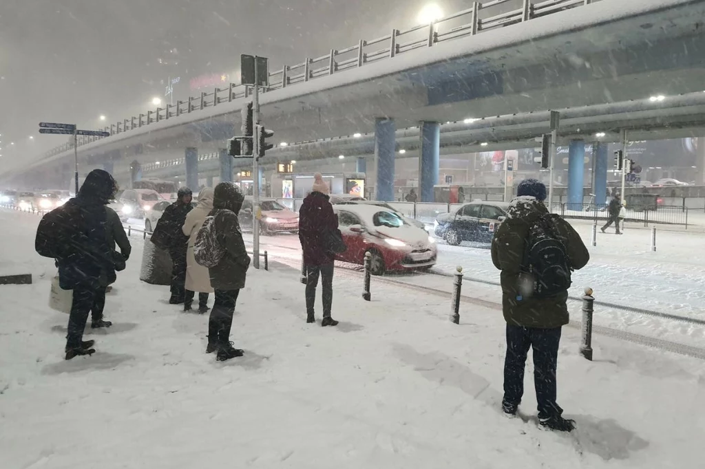 Prognoza pogody na jesień. Kiedy pierwszy śnieg 2024?