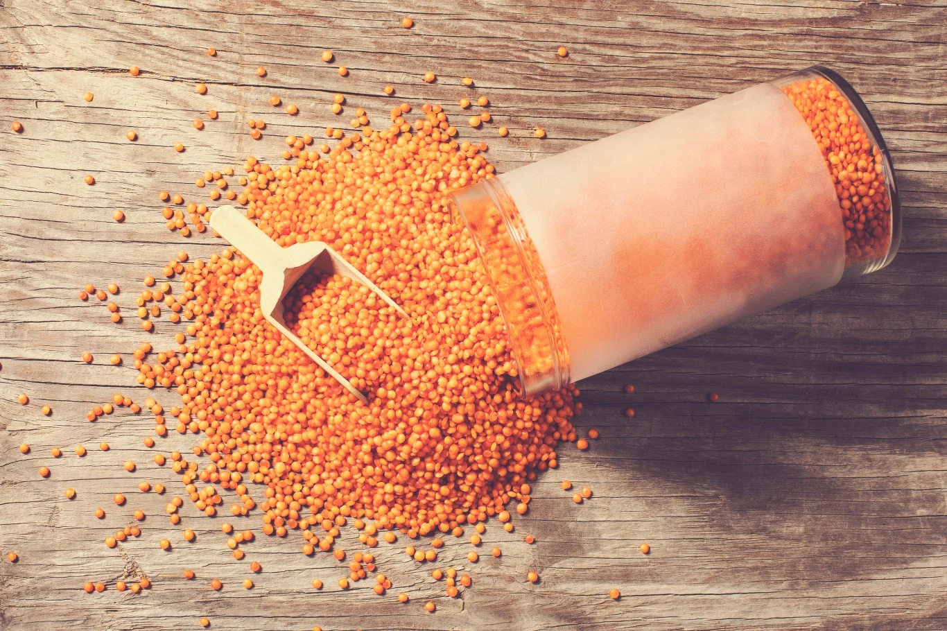 Dieta o niskiej zawartości mięsa - mniej niż 50 g dziennie - redukuje o połowę szkody związane z zanieczyszczeniami, emisjami i użytkowaniem gruntów Dieta o niskiej zawartości mięsa - mniej niż 50 g dziennie - redukuje o połowę szkody związane z zanieczyszczeniami, emisjami i użytkowaniem gruntów