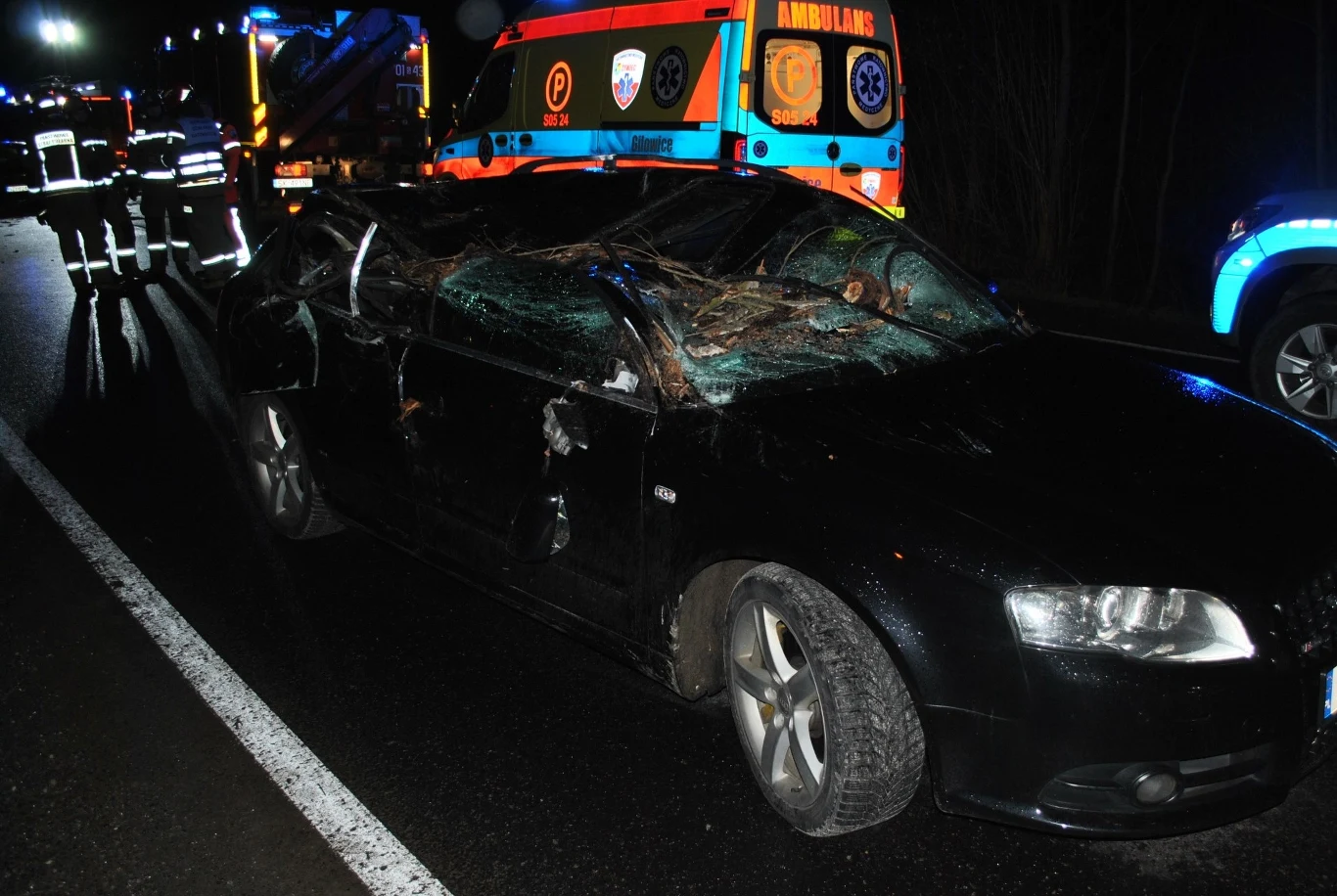 W Żywcu drzewo upadło na trzy jadące samochody. Jeden z kierowców trafił do szpitala. Trwa ustalanie stanu drzewa przez biegłego W Żywcu drzewo upadło na trzy jadące samochody. Jeden z kierowców trafił do szpitala. Trwa ustalanie stanu drzewa przez biegłego