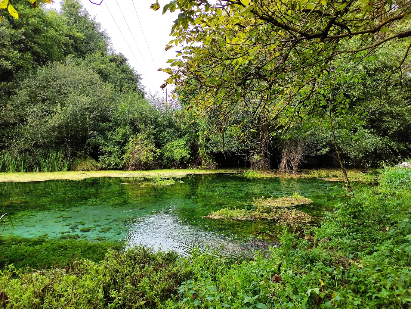 W poszukiwaniu źródeł Czarnego Drinu W poszukiwaniu źródeł Czarnego Drinu
