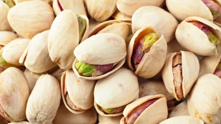 W pistacjach jest więcej żelaza niż w orzechach włoskich!